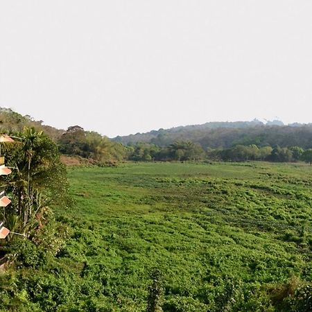 Jungle Palace Homestay Thekkady Eksteriør bilde