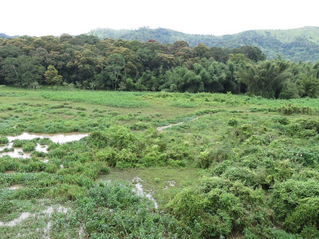 Jungle Palace Homestay Thekkady Eksteriør bilde