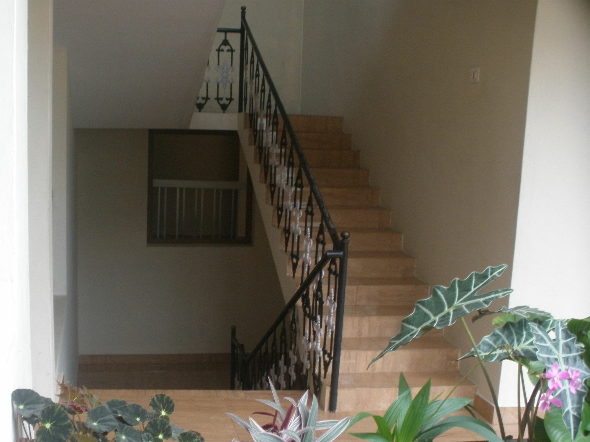 Jungle Palace Homestay Thekkady Eksteriør bilde